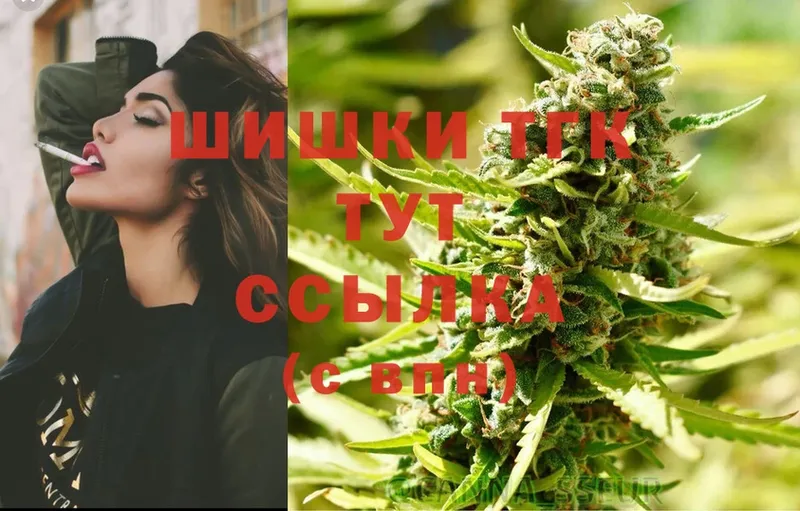 Конопля OG Kush  как найти наркотики  Лодейное Поле 